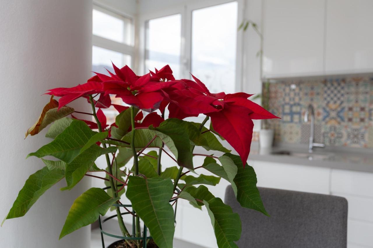 Apt Playa Y Montana Leilighet Torremolinos Eksteriør bilde
